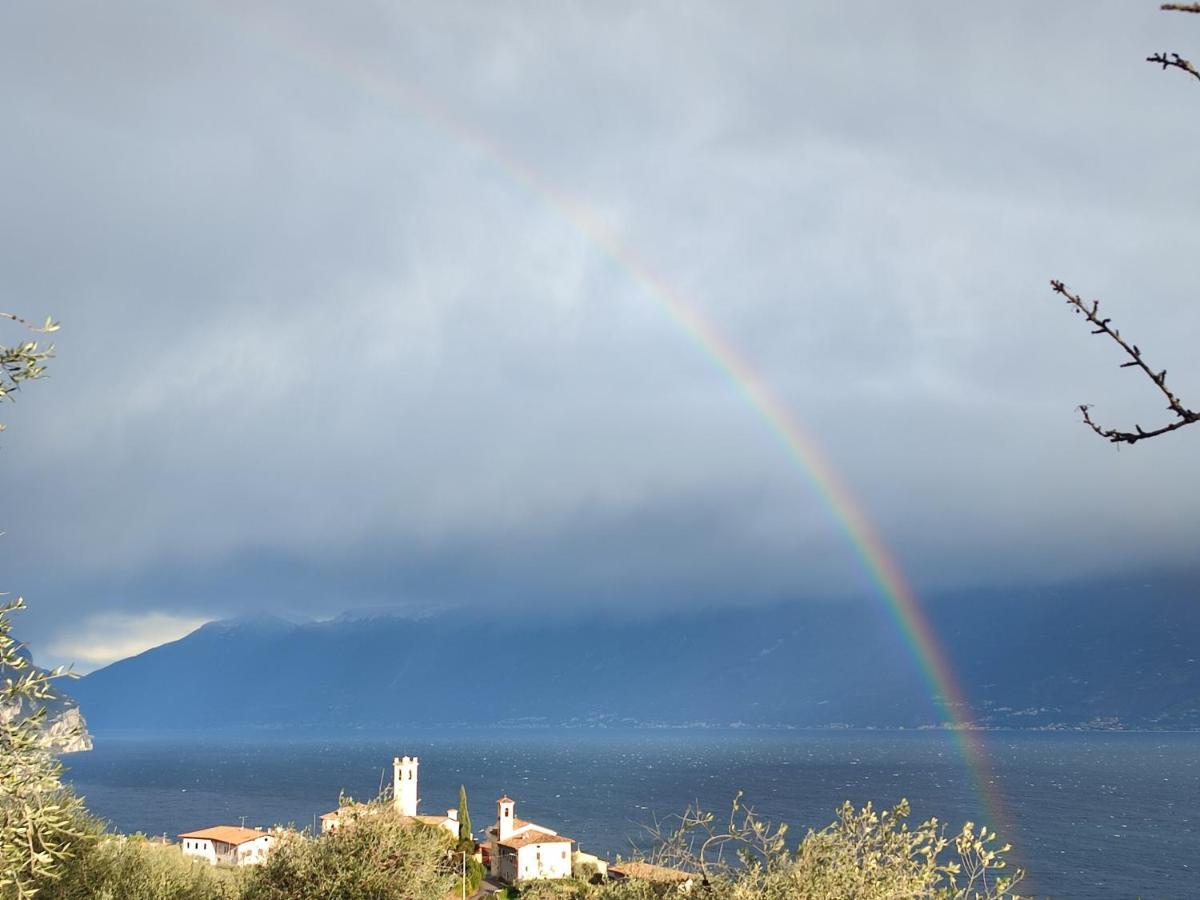 Agriturismo L'Uliveto Gargnano Chambre photo